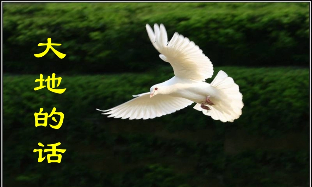 《大地的话_》课件