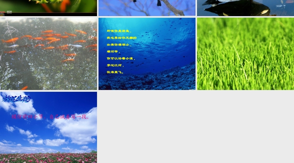 《大地的话_》课件