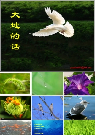《大地的话_》课件