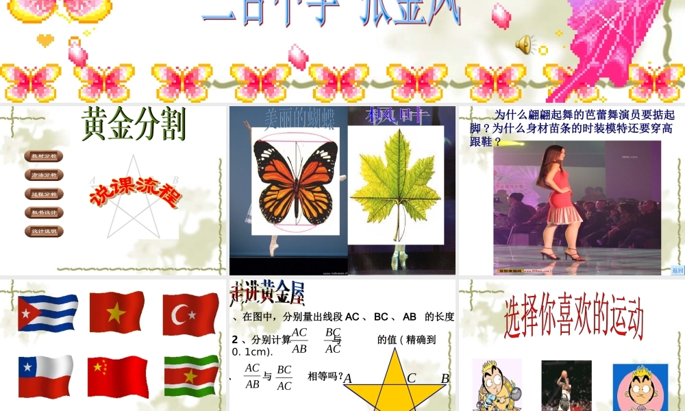 黄金分割说课课件