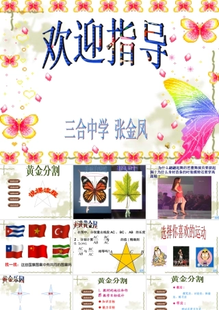 黄金分割说课课件