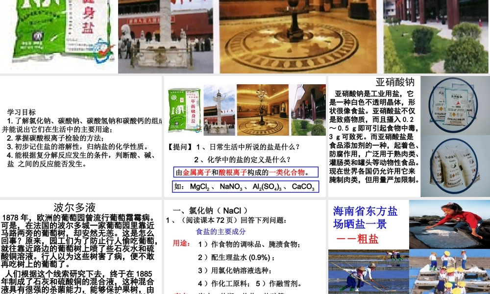 课题1：生活中常见的盐new