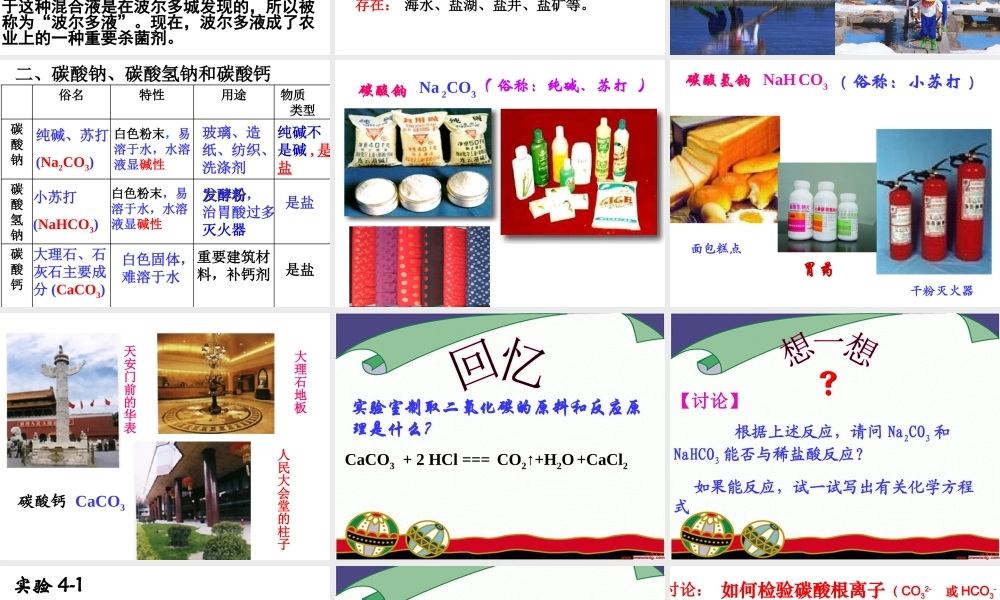 课题1：生活中常见的盐new