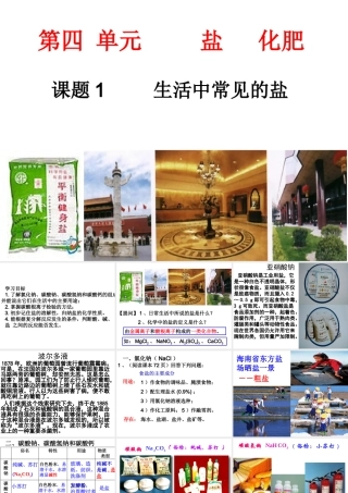 课题1：生活中常见的盐new