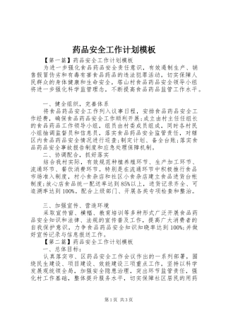 药品安全工作计划模板