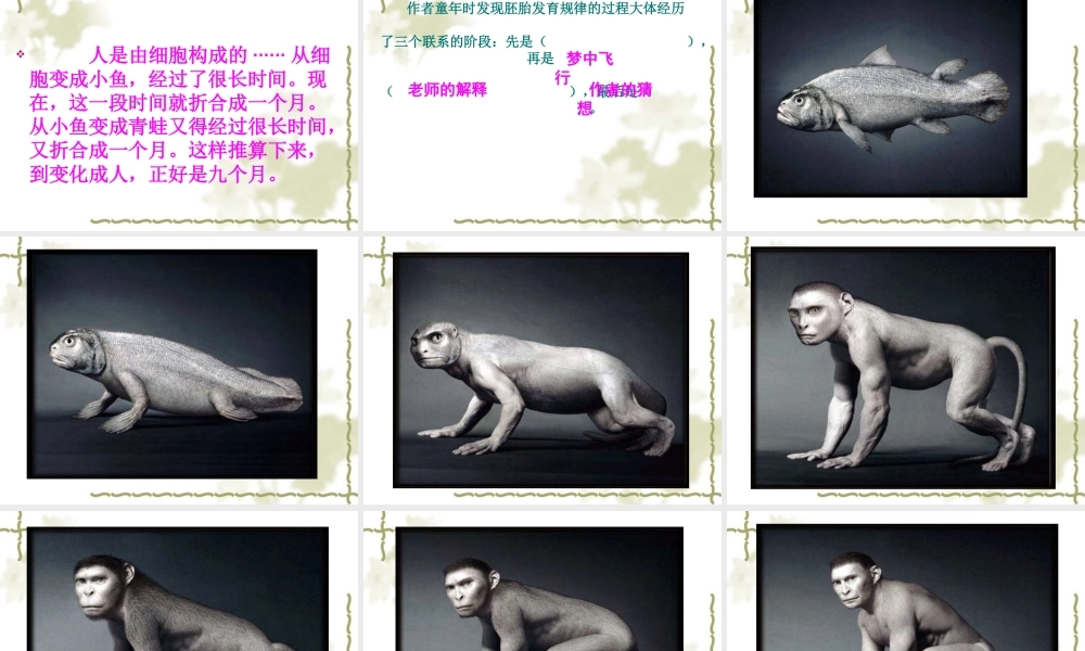 《童年的发现》PPT课件