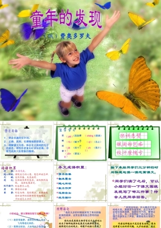 《童年的发现》PPT课件