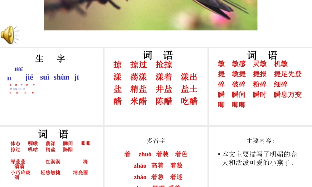 快乐的燕子课件