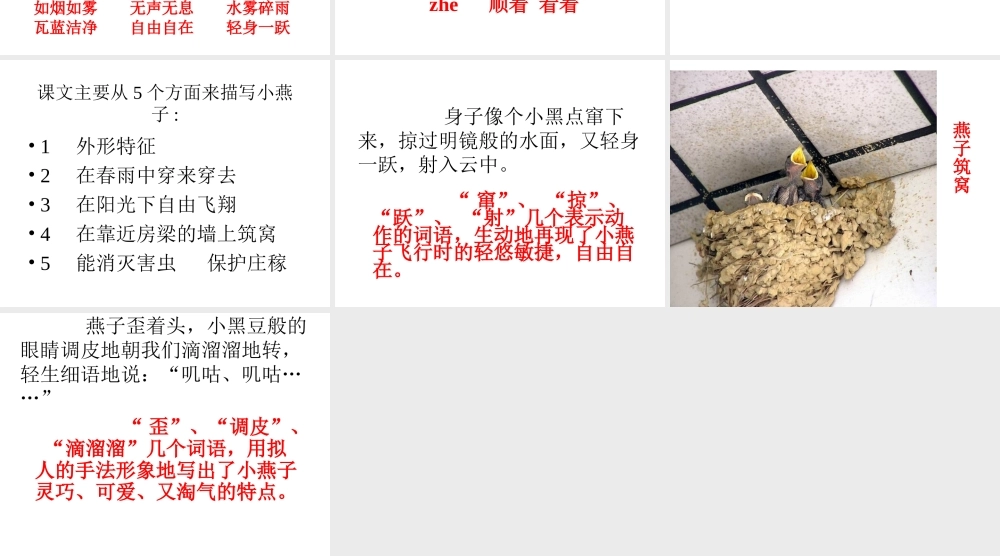 快乐的燕子课件