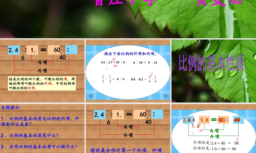比例的基本性质(三疑三探)