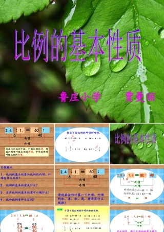 比例的基本性质(三疑三探)