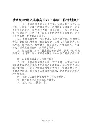 清水河街道公共事务中心下半年工作计划范文
