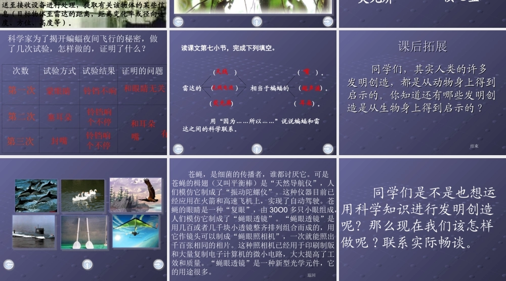 蝙蝠和雷达四年下册语文课件