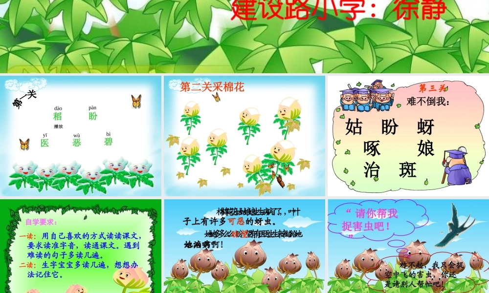 《面花姑娘》课件