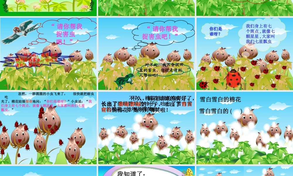 《面花姑娘》课件