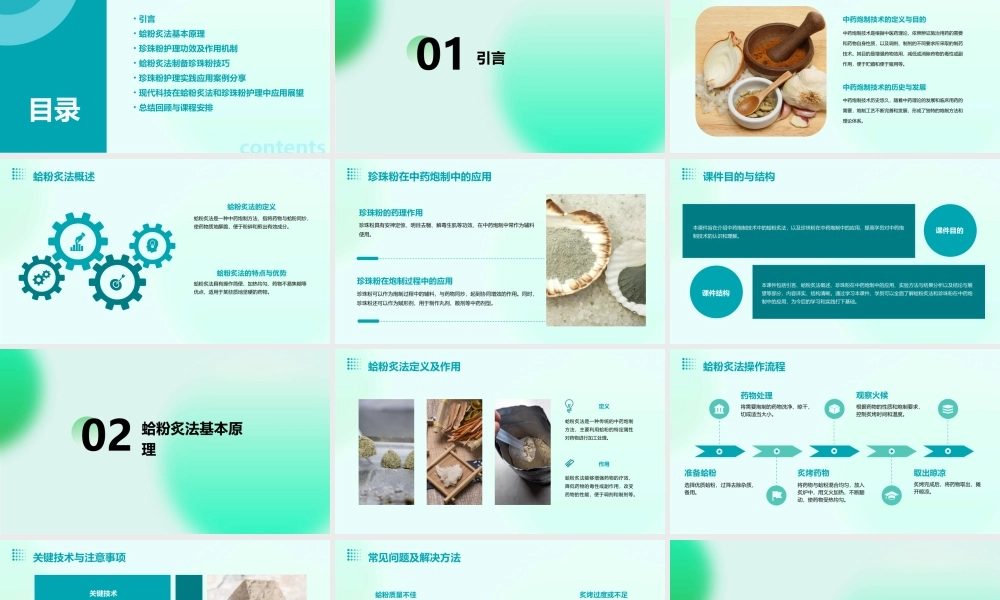 中药炮制技术之蛤粉炙法—珍珠粉护理课件