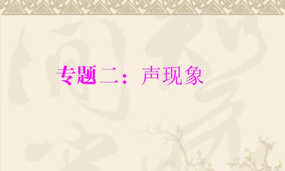 中考复习专题二：声现象