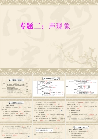 中考复习专题二：声现象