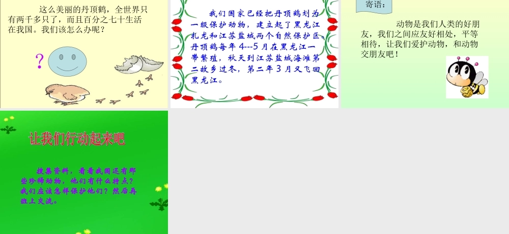 （教科版）一年级语文下册《美丽的丹顶鹤》教学课件3