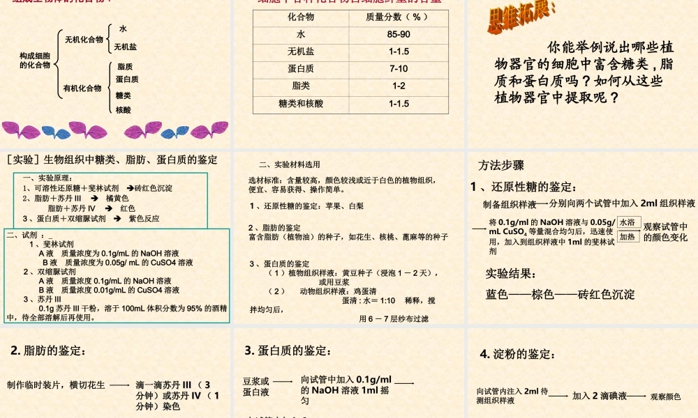 【生物】21细胞中的元素和化合物课件1（人教版必修1）