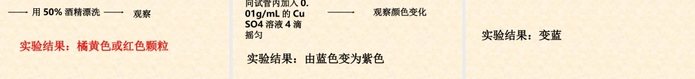 【生物】21细胞中的元素和化合物课件1（人教版必修1）