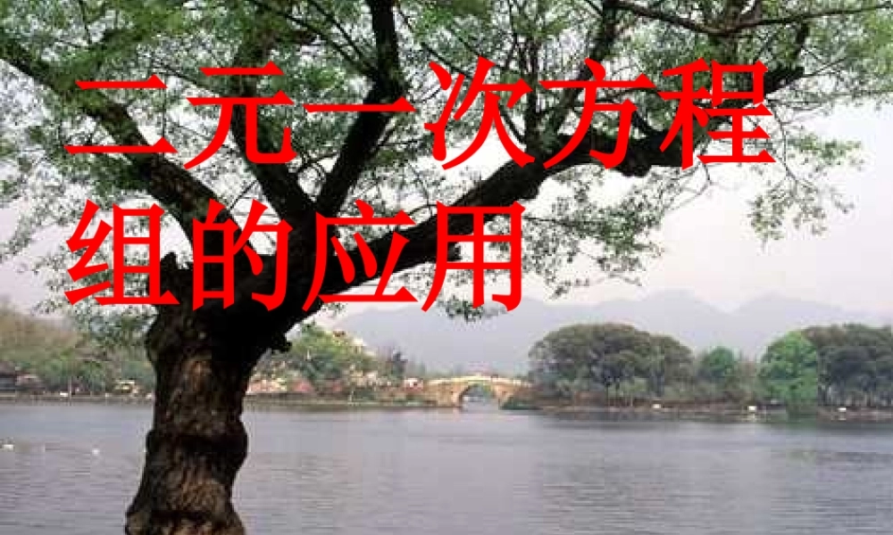 二元一次应用题分类5