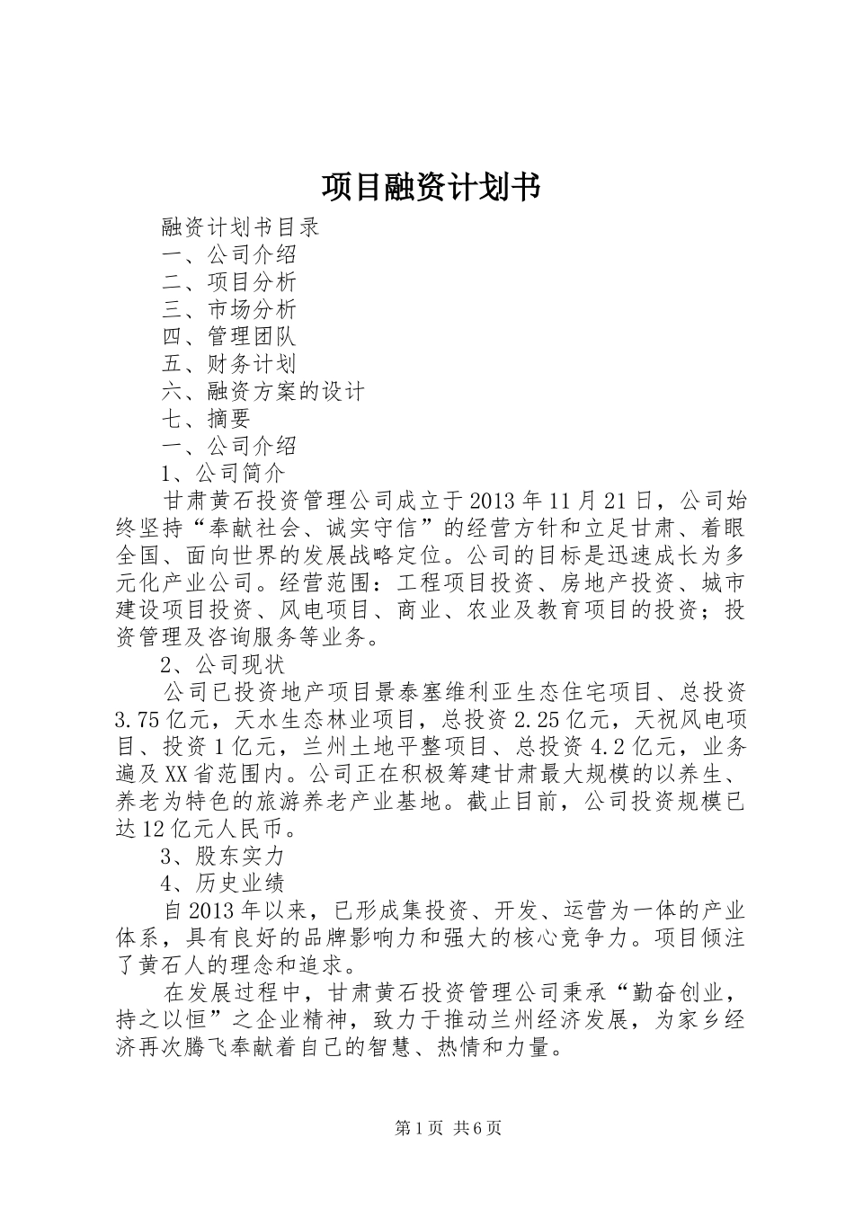 项目融资计划书_1_第1页