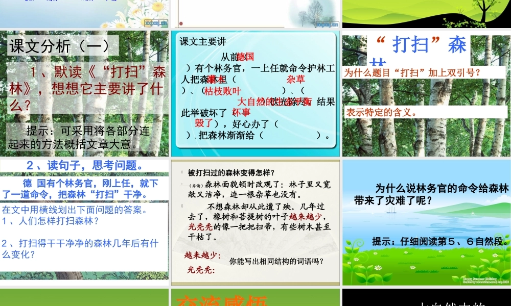 大自然的启示完美版