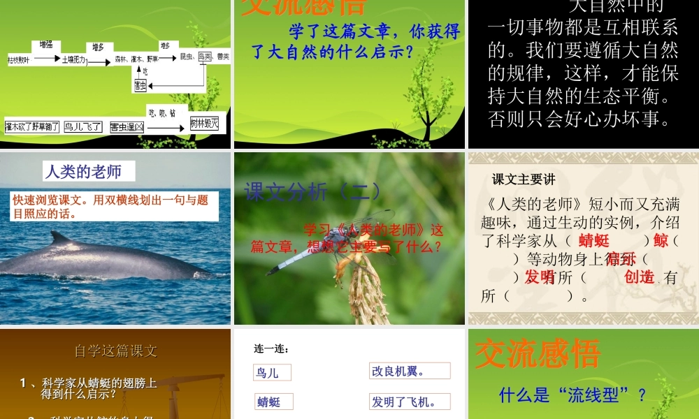 大自然的启示完美版