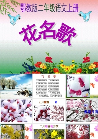 识字(二)花名歌课件