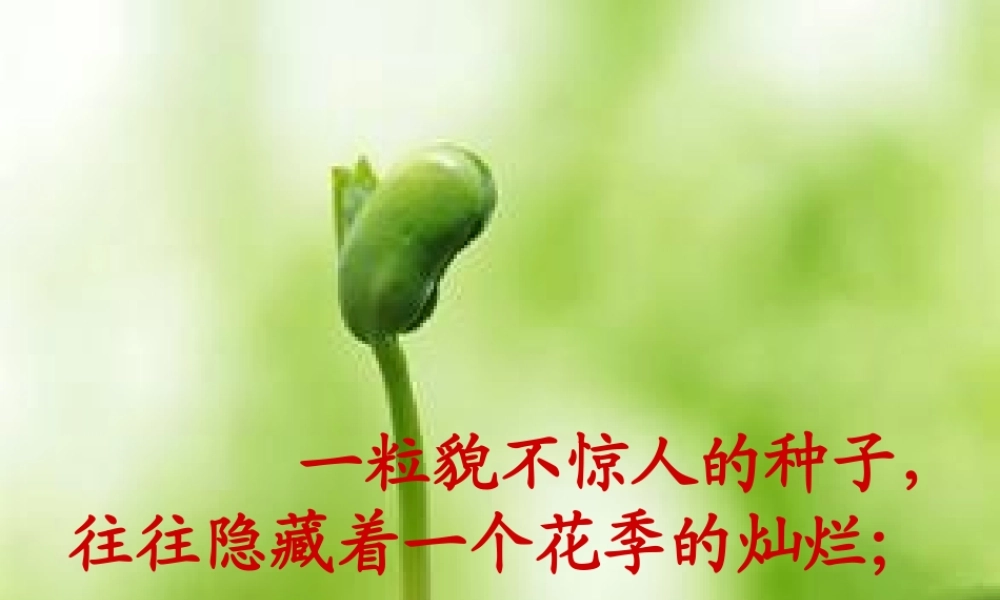 《生命生命》课件 (2)