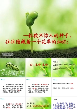《生命生命》课件 (2)