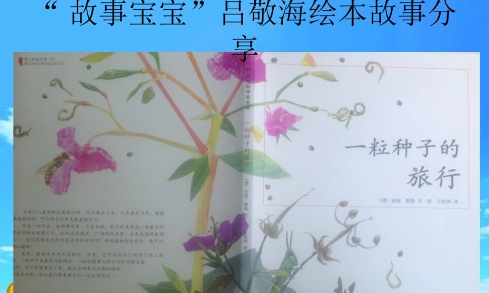 《一粒种子的旅行》绘本分享