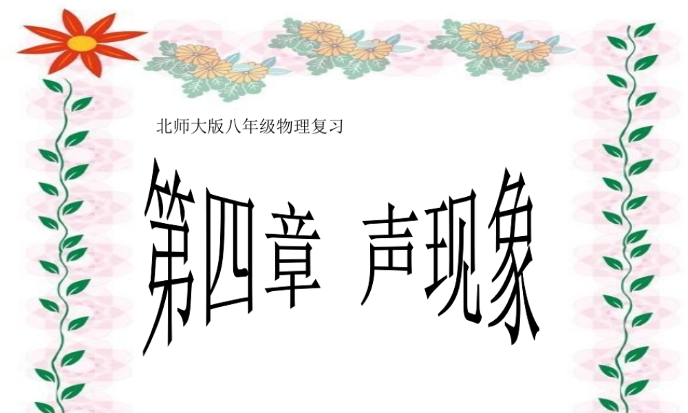 北师大版八年级物理第四章声现象复习课件