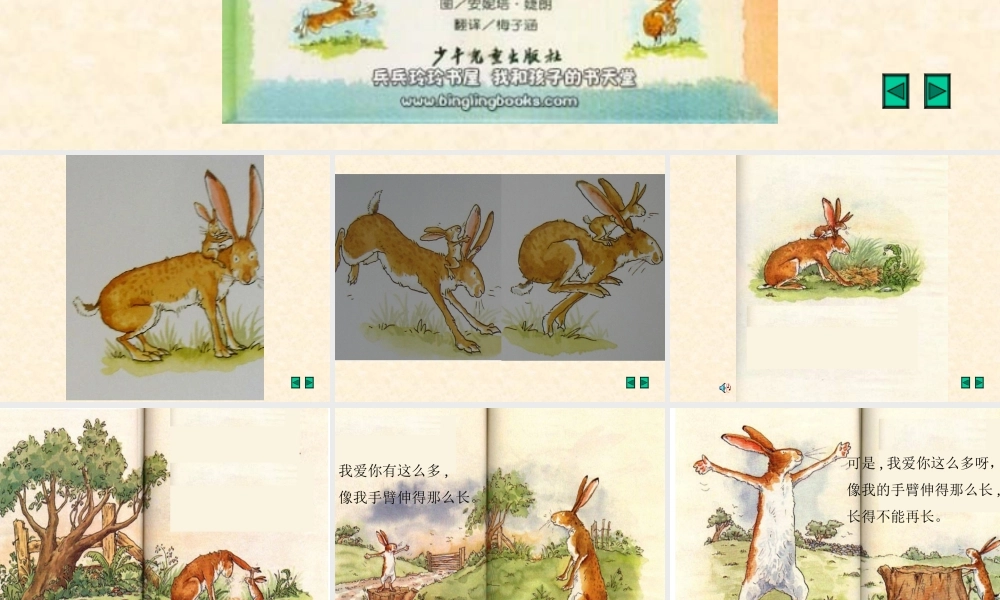 猜猜我有多爱你 (5)