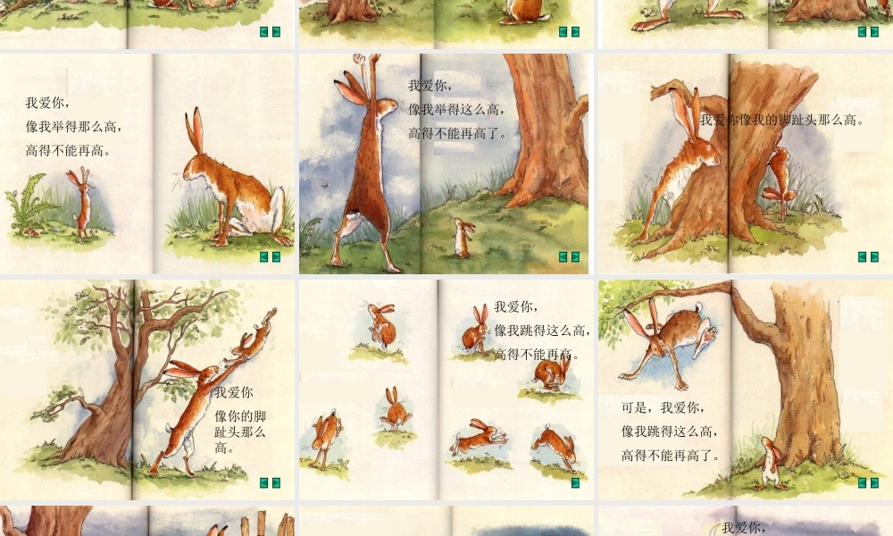 猜猜我有多爱你 (5)