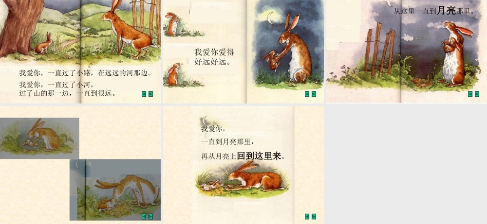 猜猜我有多爱你 (5)