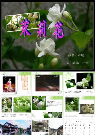 茉莉花课件1