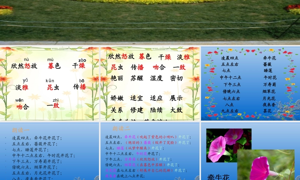 《花钟》PPT(另)