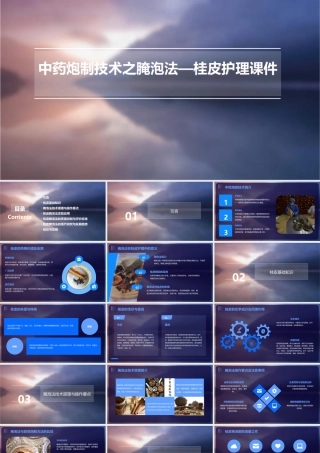 中药炮制技术之腌泡法—桂皮护理课件
