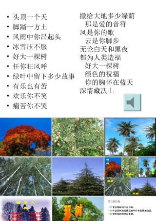 《那树》课件（27页）