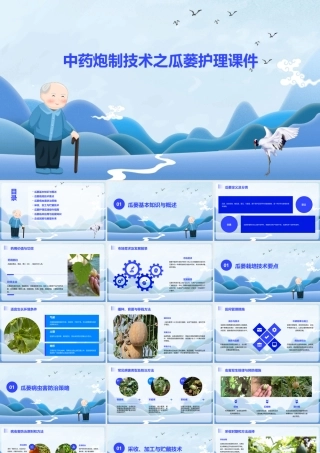 中药炮制技术之瓜蒌护理课件