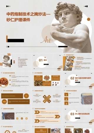 中药炮制技术之腌炒法—砂仁护理课件