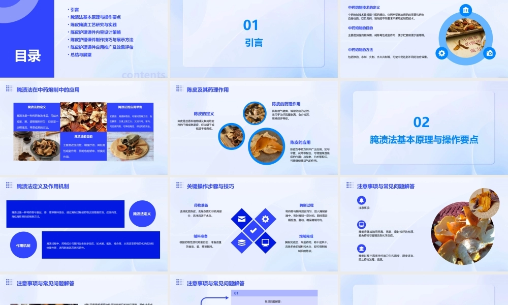 中药炮制技术之腌渍法—陈皮护理课件