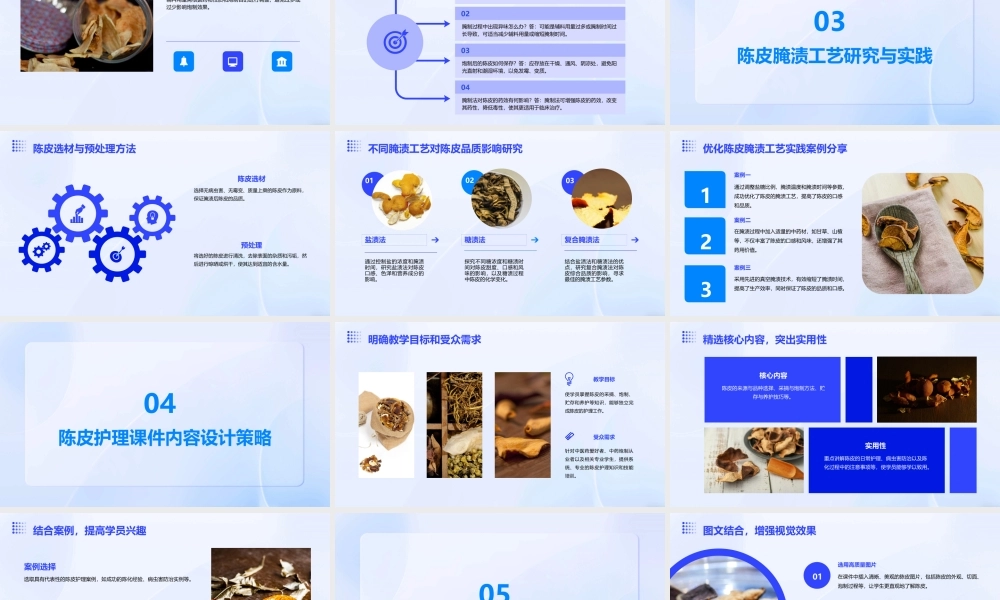 中药炮制技术之腌渍法—陈皮护理课件