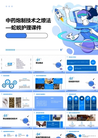 中药炮制技术之燎法—蛇蜕护理课件