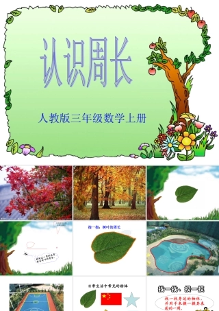 周长的认识课件三年级