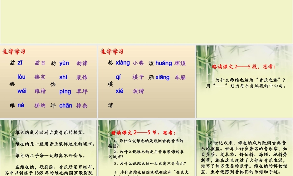 《音乐之都维也纳》教学课件（简要参考）1