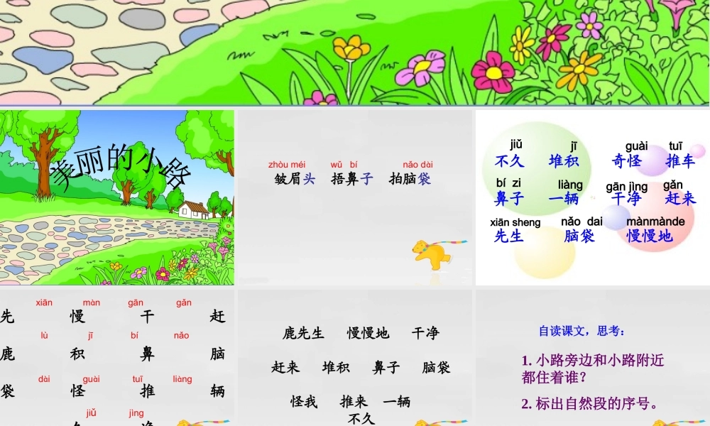 《美丽的小路》教学课件1