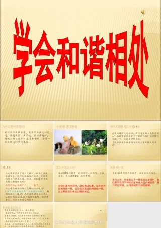学会和谐相处